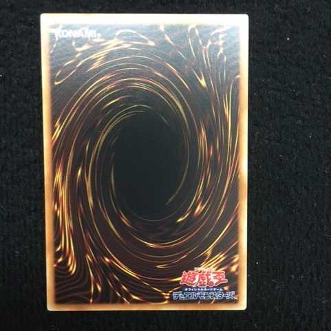 「未使用美品」武力の軍奏 17PR-JP009 ノーパラ　#2