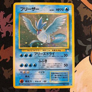 フリーザー　化石