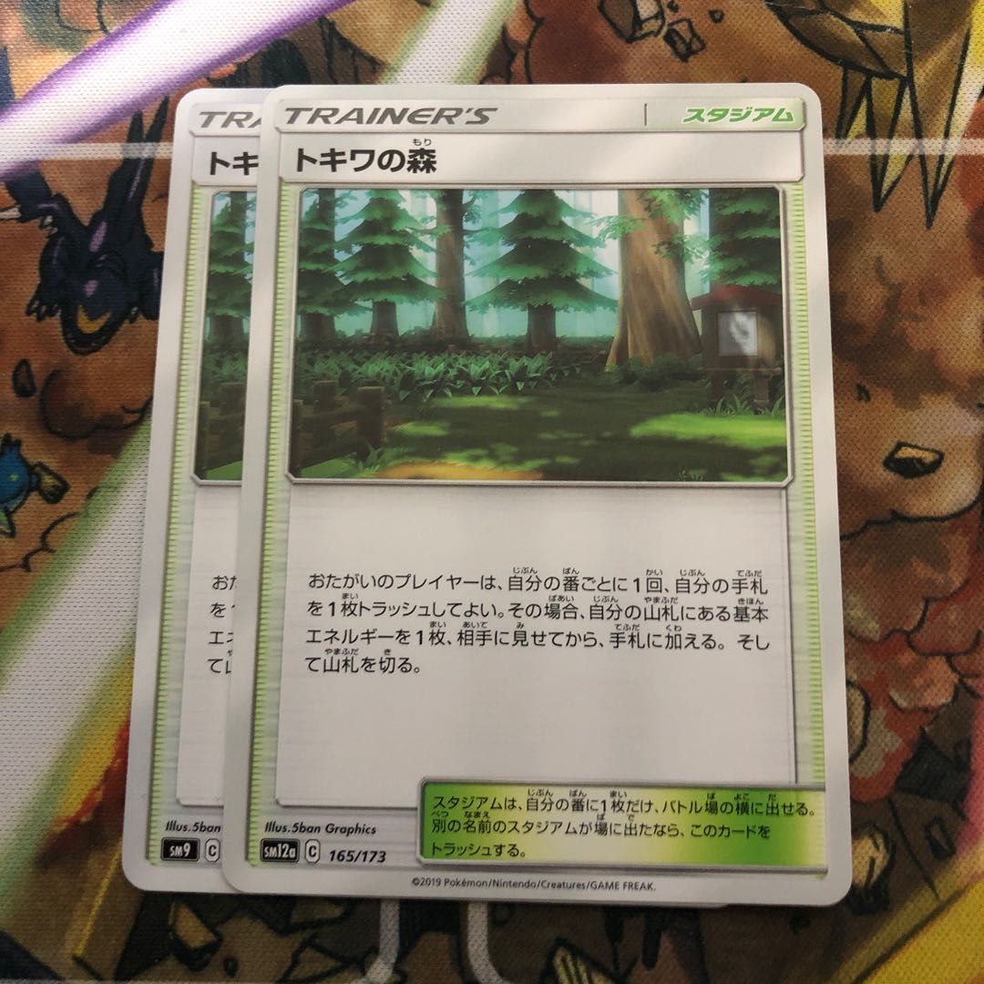 トキワの森　2枚セット