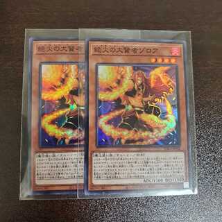 絶火の大賢者ゾロア　二枚