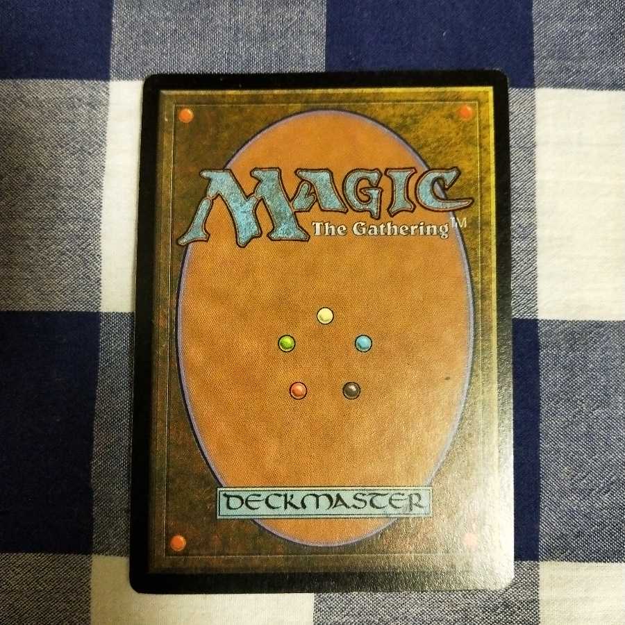 (しょう様専用)不実