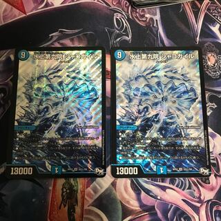 水上第九院 シャコガイル