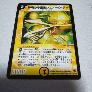 エラーカード？神魂の守護者シュノーク・ラー
