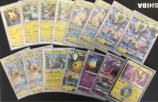 ピカチュウ&ゼクロムデッキ