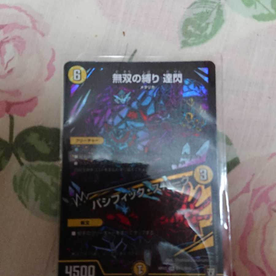 無双の縛り 達閃|パシフィック・スパーク