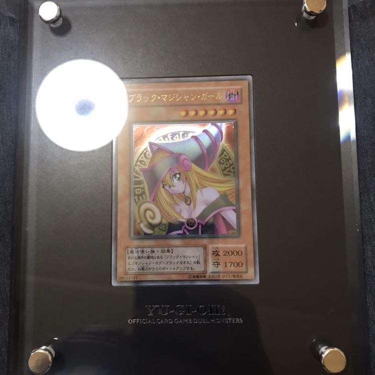 Dark Magician Girl stainless steel