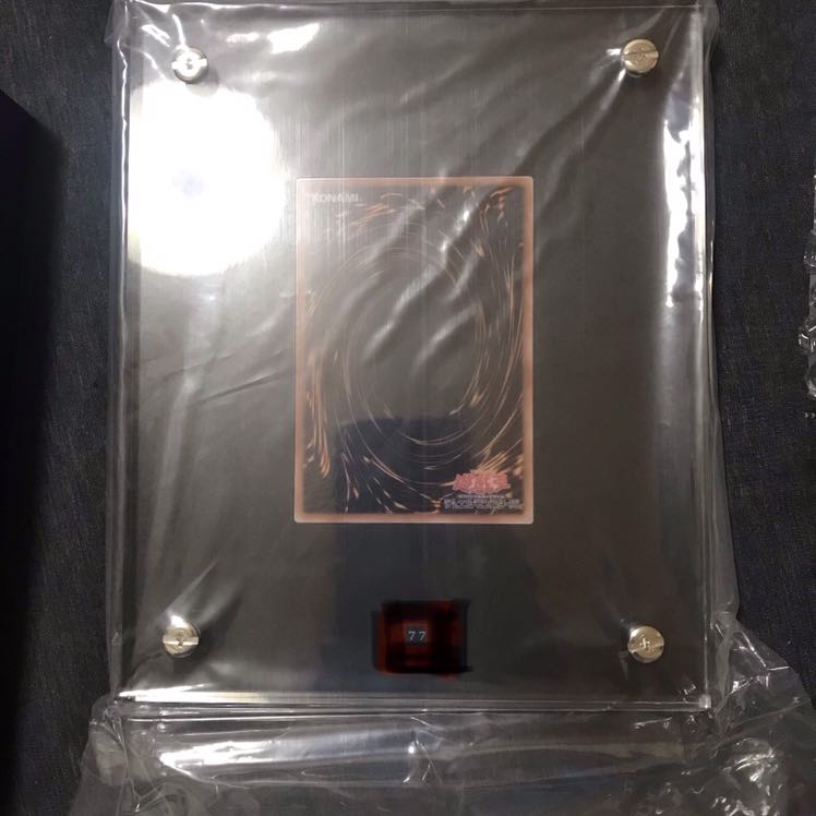 Dark Magician Girl stainless steel