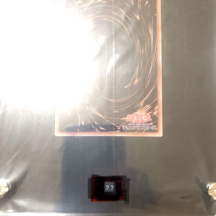 Dark Magician Girl stainless steel