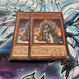 昇華騎士-エクスパラディン スーパーレア