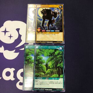 ラッシュデュエル 幻獣王ガゼル 森