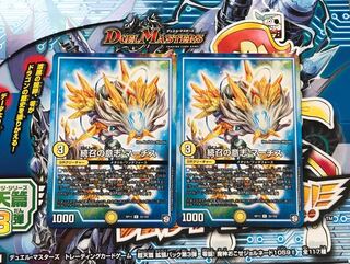 続召の意志マーチス