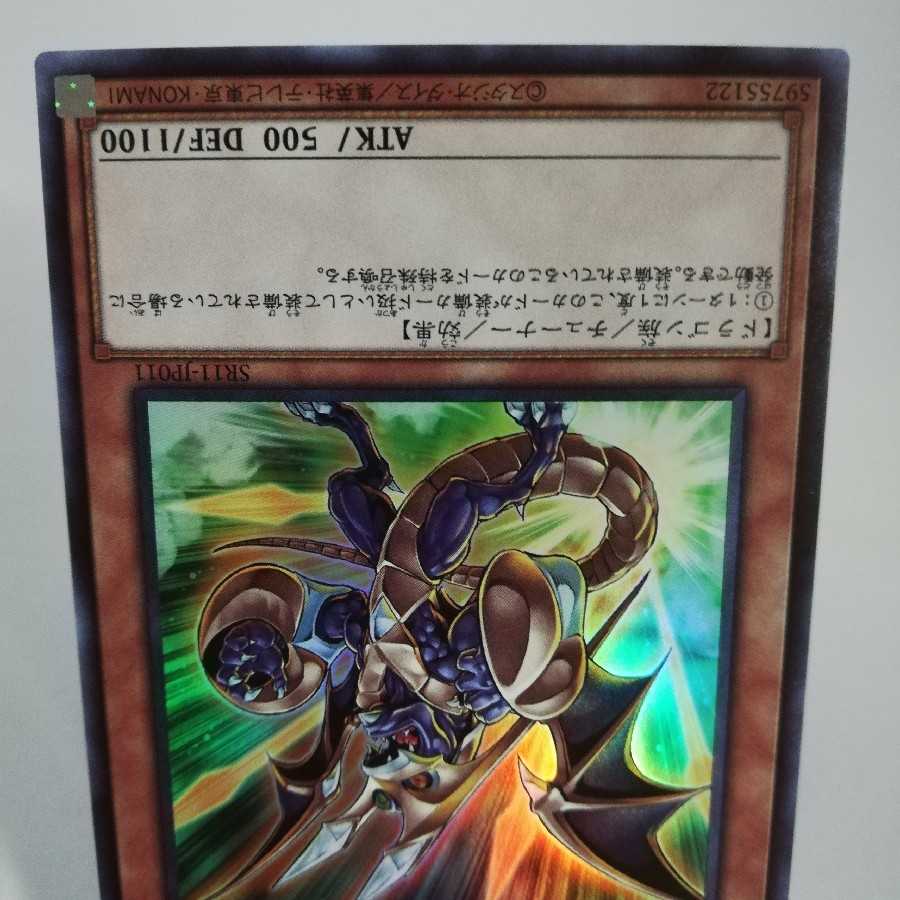 ドラグニティ-ファランクス