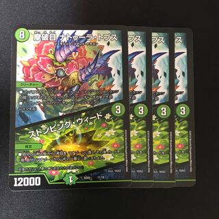 摩破目 ナトゥーラ・トプス｜ストンピング・ウィード