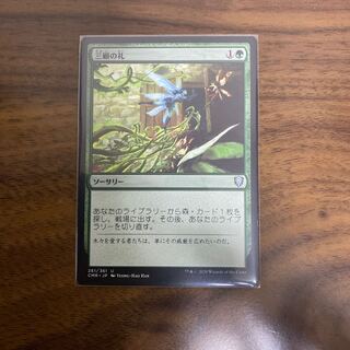 三顧の礼 日本語版