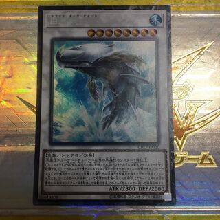 白闘気白鯨 コレクターズ