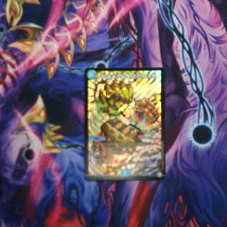 知識と流転と時空の決断 1枚