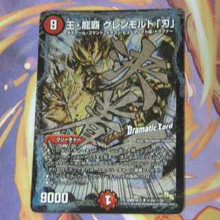 リオウラ様専用 1枚