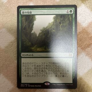 【MTG】森の知恵 日本語版 1枚