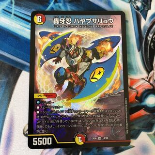 ハヤブサリュウ