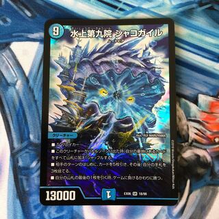 水上第九院 シャコガイル