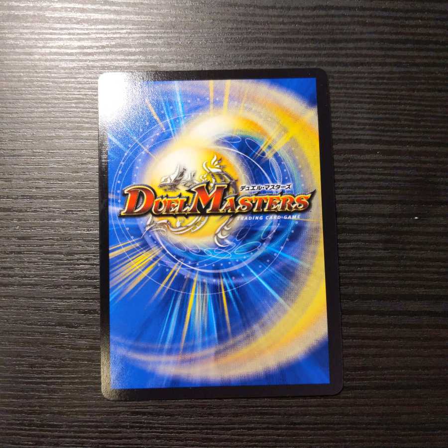 我怒の鎖 パンサーベア 最安値!