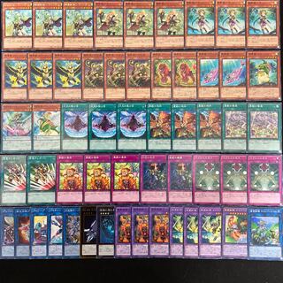 遊戯王 No.348 霊獣 デッキ 40枚+15枚 次元の裂け マクロコスモス