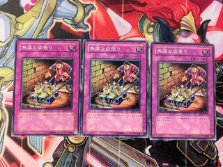 遊戯王 無謀な欲張り ノーマル 3枚