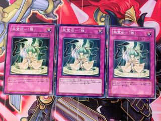 遊戯王 風霊術「雅」 ノーマル 3枚
