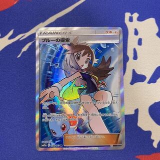 ブルーの探索 SR 196/173