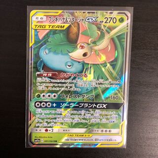 フシギバナ＆ツタージャ GX