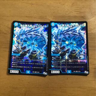 水上第九院 シャコガイル SR