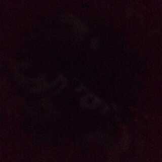 デュエにゃん皇帝