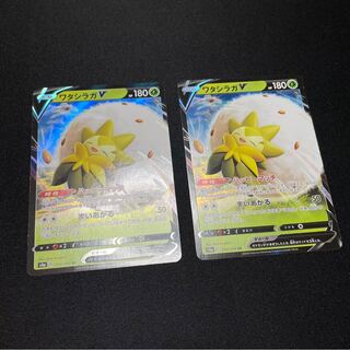 ワタシラガV 2枚セット