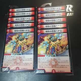 Hachiko, the loyal dog of suicide attack