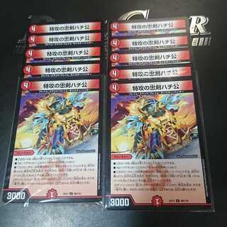 Hachiko, the loyal dog of suicide attack