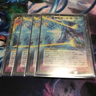 超次元ガードホール