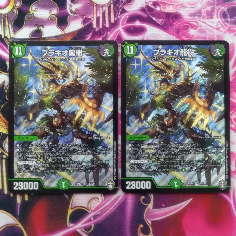 ブラキオ龍樹 2枚