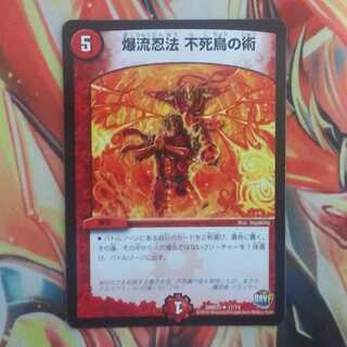 爆流忍法 不死鳥の術