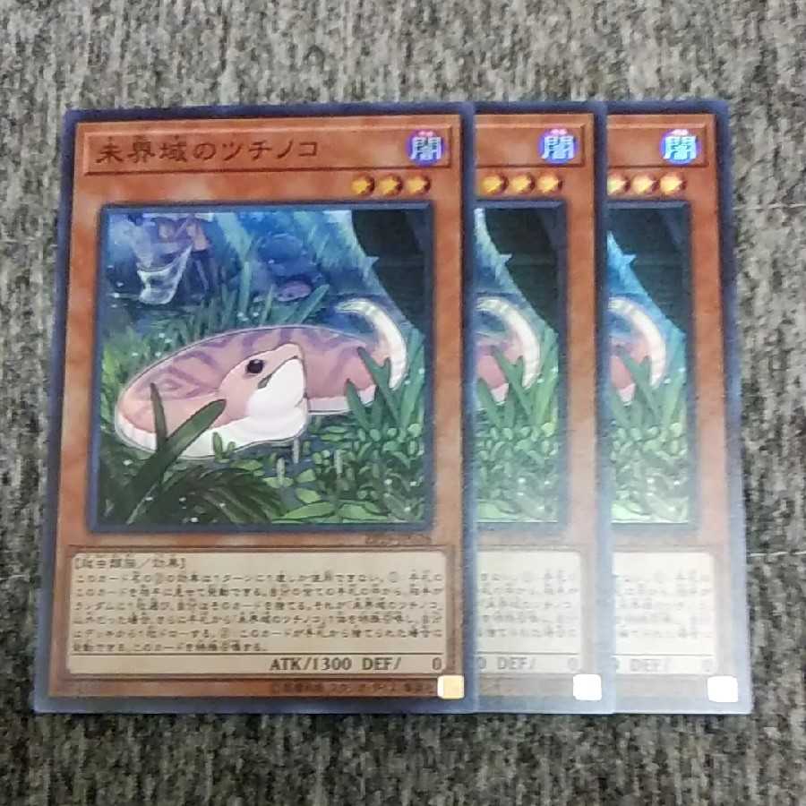 未界域のツチノコ 3枚