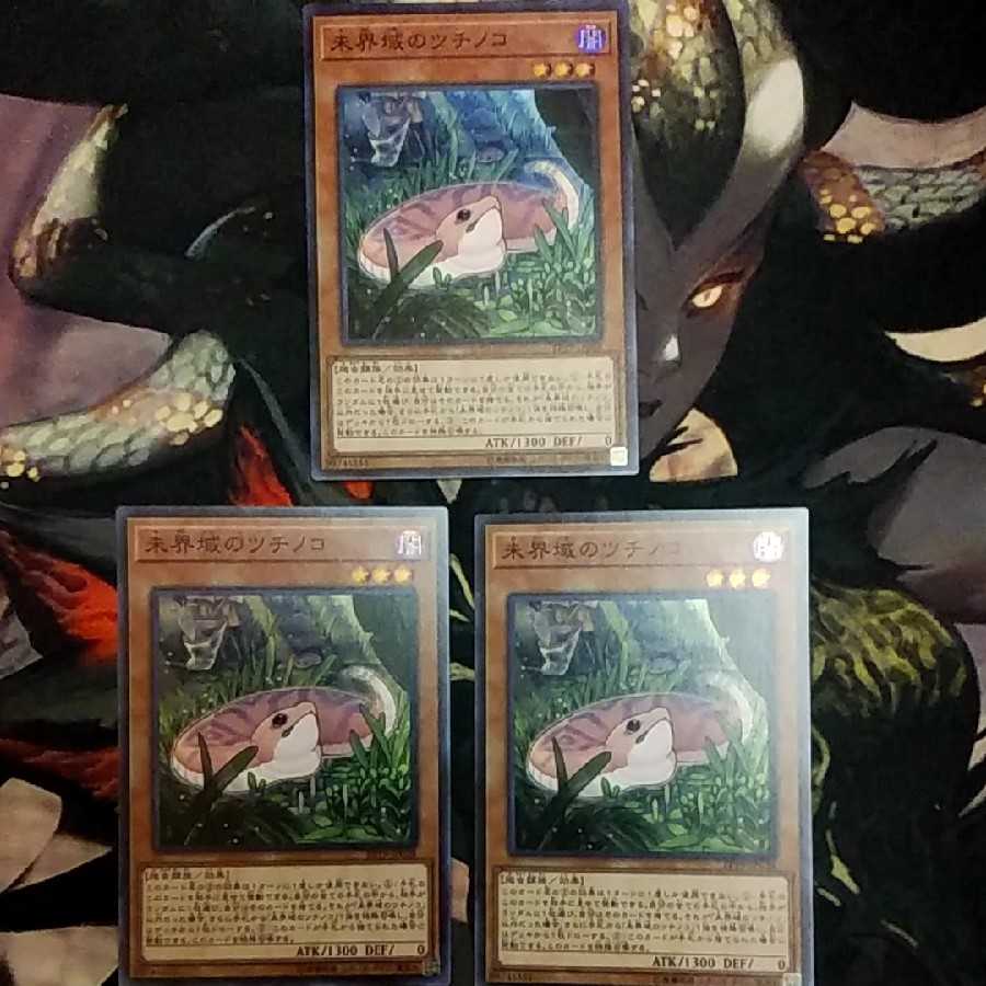 未界域のツチノコ 3枚