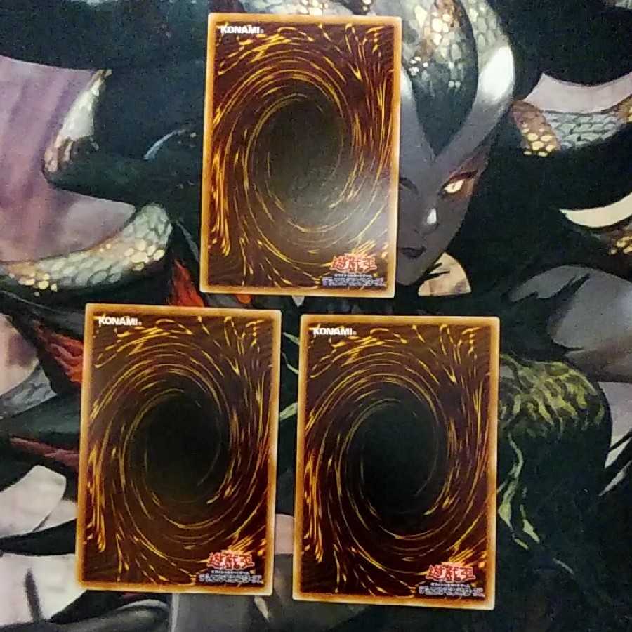 未界域のツチノコ 3枚