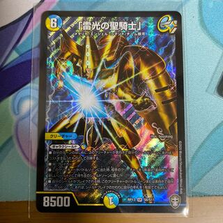 「雷光の聖騎士」