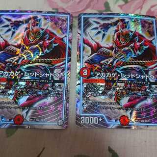 アカカゲ・レッドシャドウ