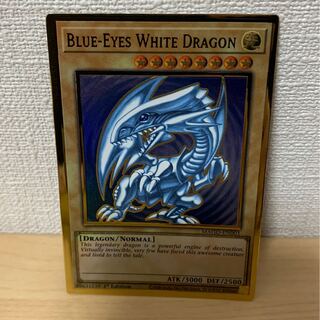青眼の白龍 プレミアムゴールドレア　英版