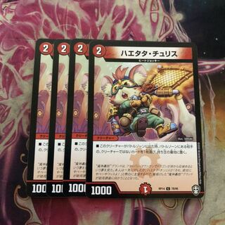 ハエタタ・チュリス　４枚