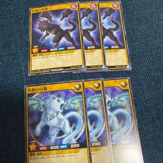 赤眼の黒猫　青眼の白猫　セット