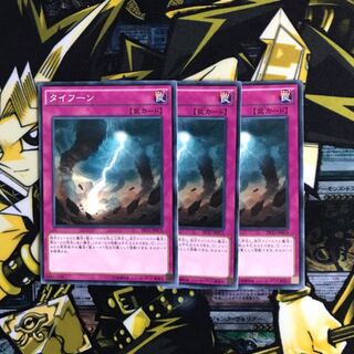 【即日発送可能】タイフーン