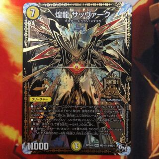 煌龍 サッヴァーク