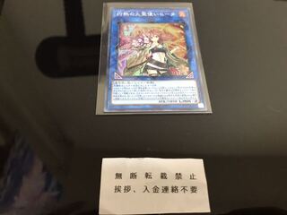 灼熱の火霊使いヒータ スーパー