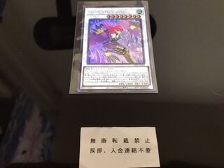 ハーピィ・レディ・SC